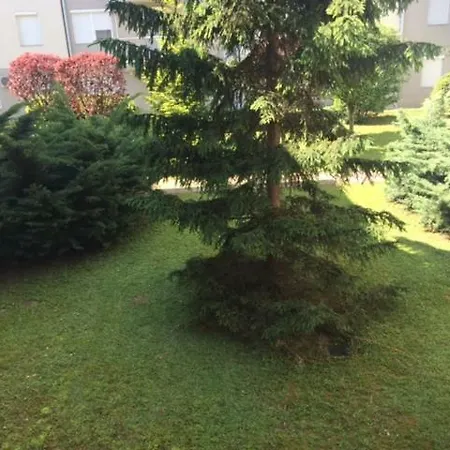 Διαμέρισμα Rehab