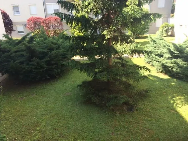 Apartmán Rehab
